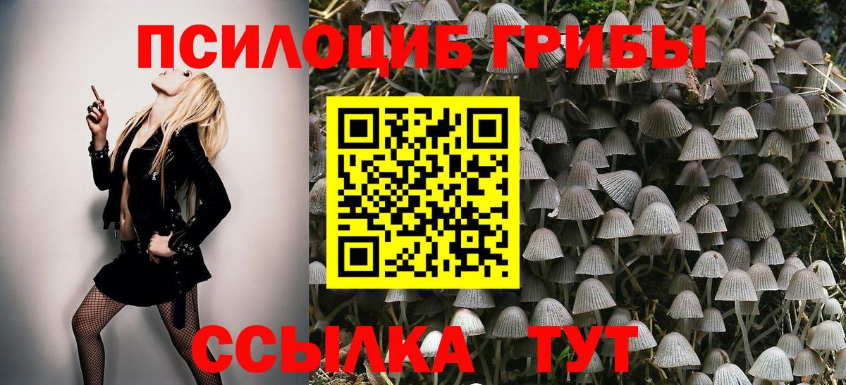 Псилоцибиновые грибы MAGIC MUSHROOMS Алейск