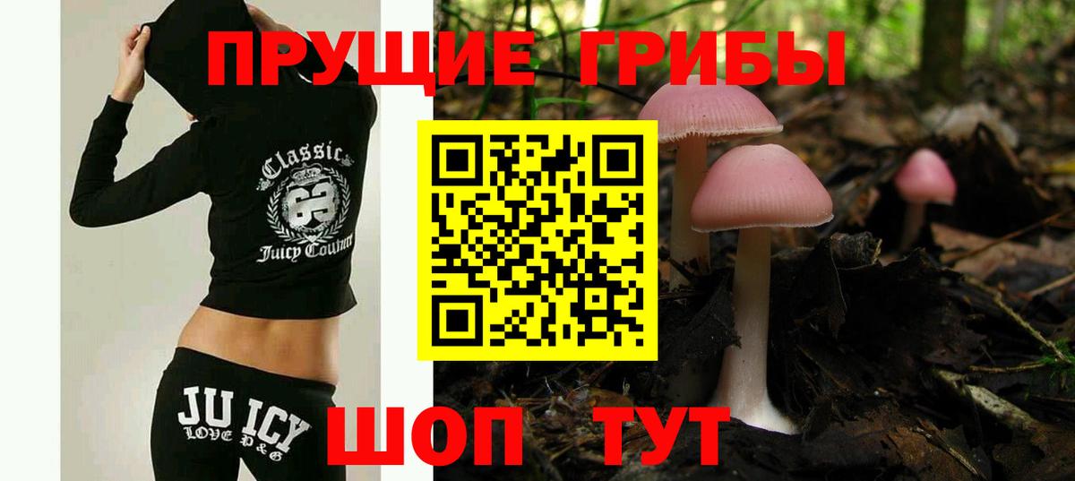 Галлюциногенные грибы MAGIC MUSHROOMS  Галлюциногенные грибы мицелий  продажа наркотиков  Алейск  Вход с VPN 